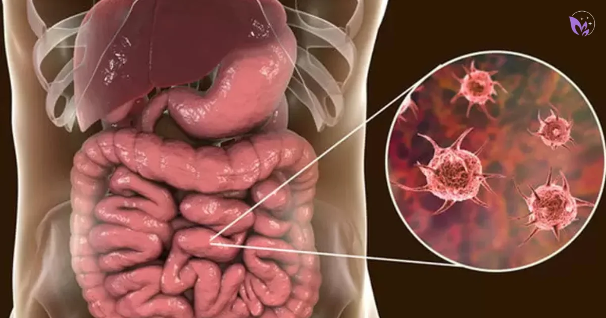 Uncovering Gut Parasites in Humans: Symptoms, Risks, and Holistic Remedies