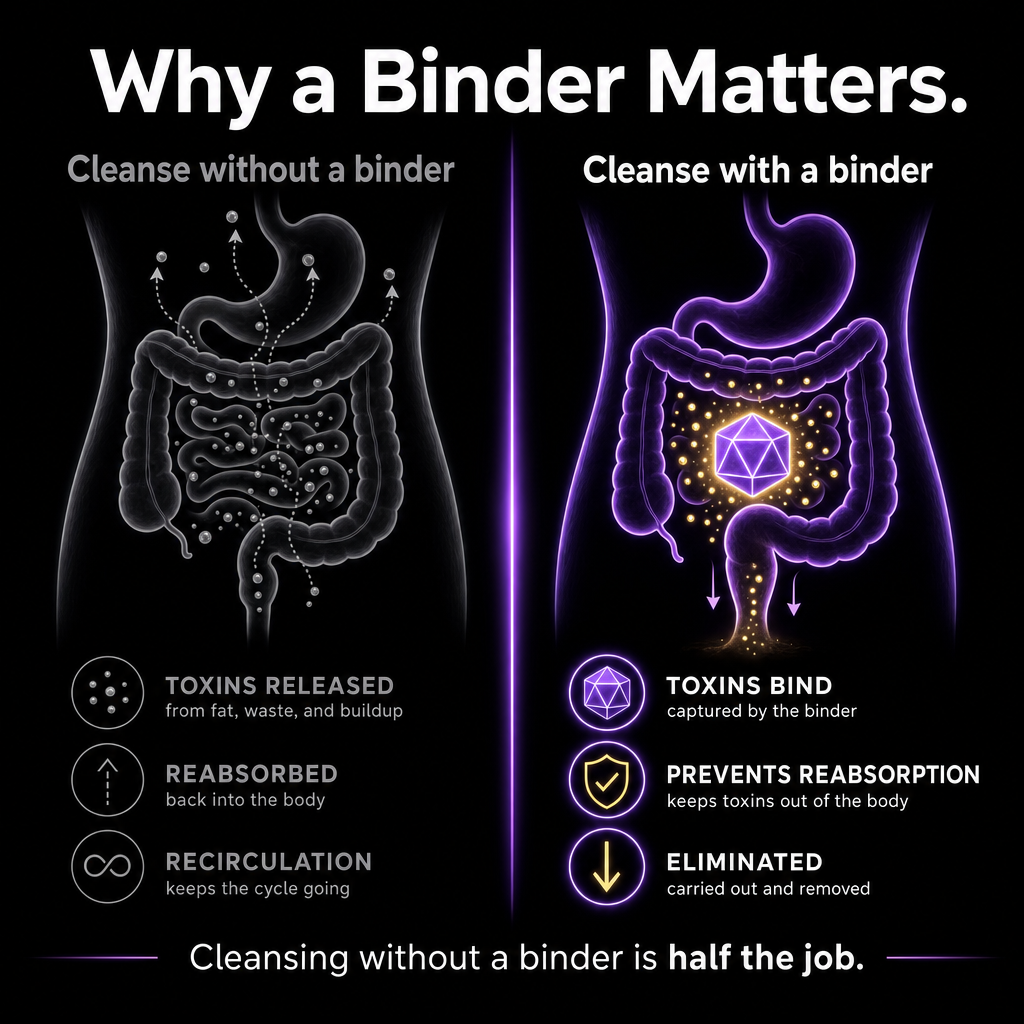 Paragon & TNM & Binder Bundle - Image 10