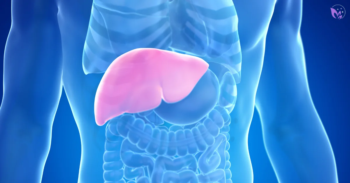Milk Thistle for Liver Detox | Mahoney Inter Supplements
