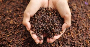 15 Natural Anti-Parasitic Herbs