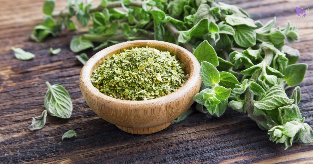 Oregano | Natural Anti-Parasitic Herb