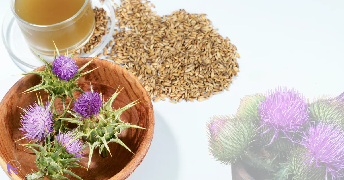 Milk Thistle Benefits: Daily Use, Safety & Side Effects