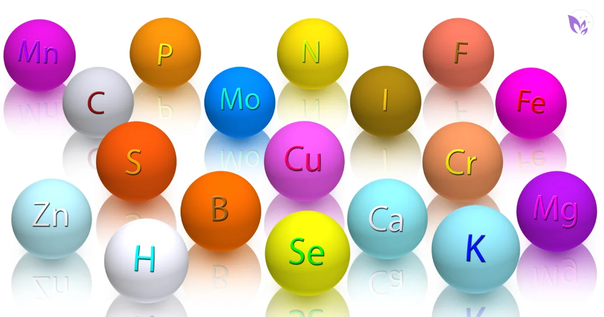 What Are Trace Minerals? Benefits & How Liquid Mineral Drops Support Wellness