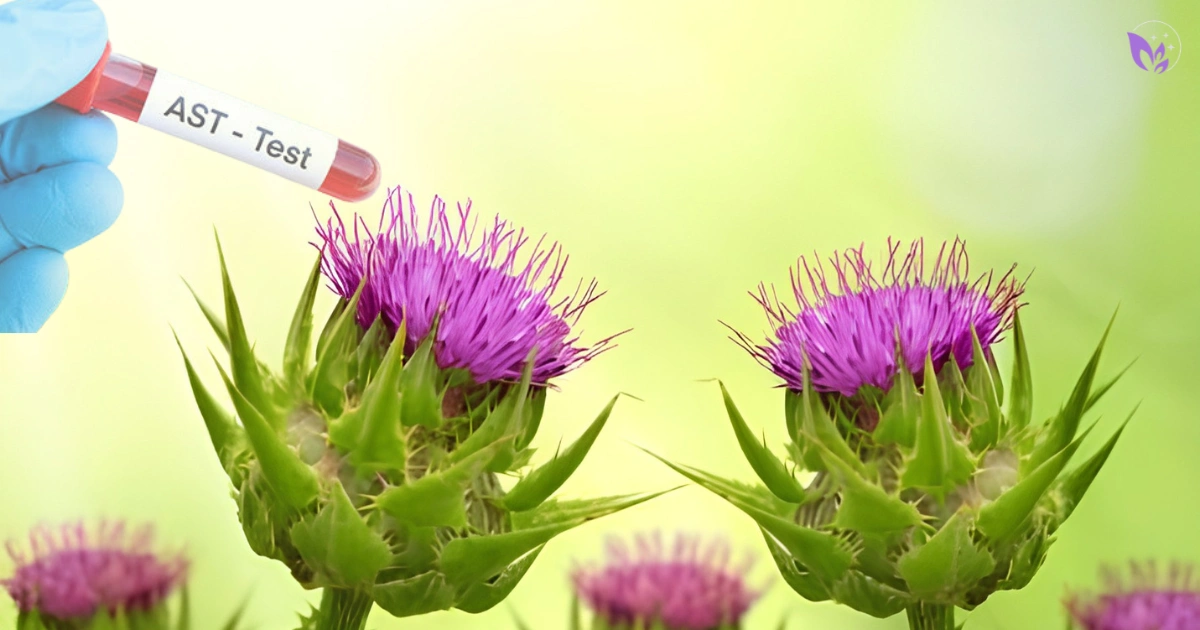 Milk Thistle and Liver Enzymes: Can It Lower or Raise ALT & AST?