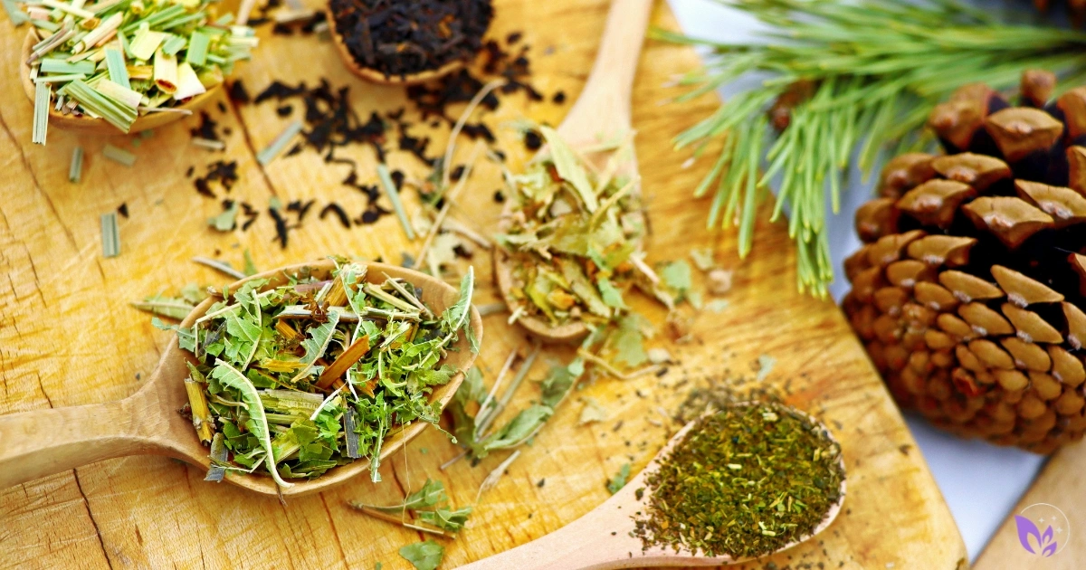 Parasite Cleanse Safety: Ingredients, Risks & Evidence