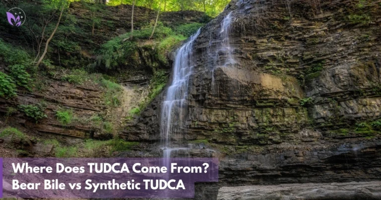 Where Does TUDCA Come From